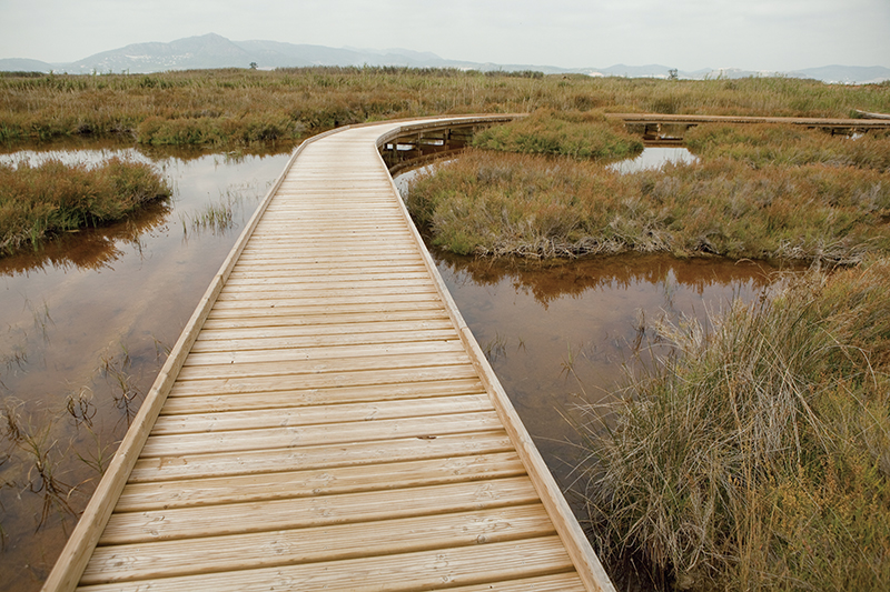 Top.17 阿根廷　伊貝拉濕地 Argentina Iberá Wetlands
入選原因:濕地生態。保育類天堂。