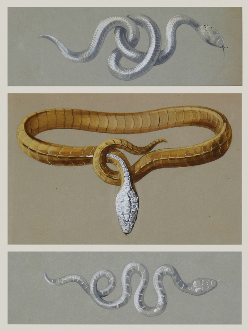 1878年首見的 Serpent Boheme 蛇形項鍊設計草圖，十分具象寫實。