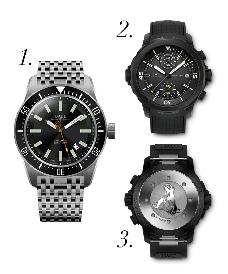 1.BALL WATCH波爾錶 Engineer Master II Skindiver II型號腕錶，自動機械機芯、不銹鋼錶殼、時分秒顯示、日期窗、43mm、防水深度500米。
2.IWC 海洋時計計時腕錶「加拉帕戈斯群島」特別版腕錶，自動上鍊機芯、精鋼錶殼、計時碼錶、時分秒顯示、日期窗、44mm、防水深度300米。
3.稀有珍貴的海鬣蜥，被刻在錶殼後底蓋上，作為善待群島的紀念。