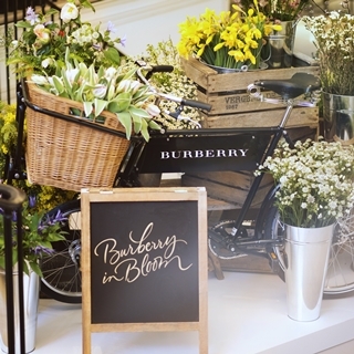 歡迎來到Burberry in Bloom花店  替...