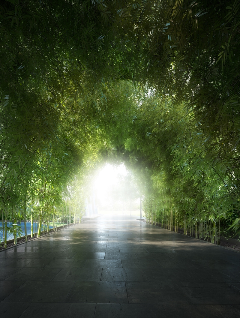 竹子天頂步道如幽靜的熱帶雨林。