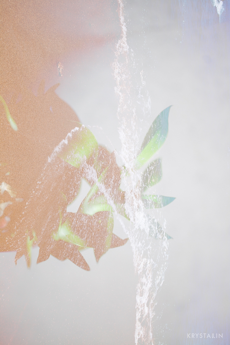 蒲公英創作：Thrive。