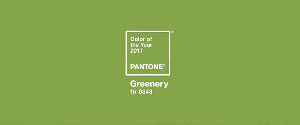 15-0343，Pantone公布2017代表色！