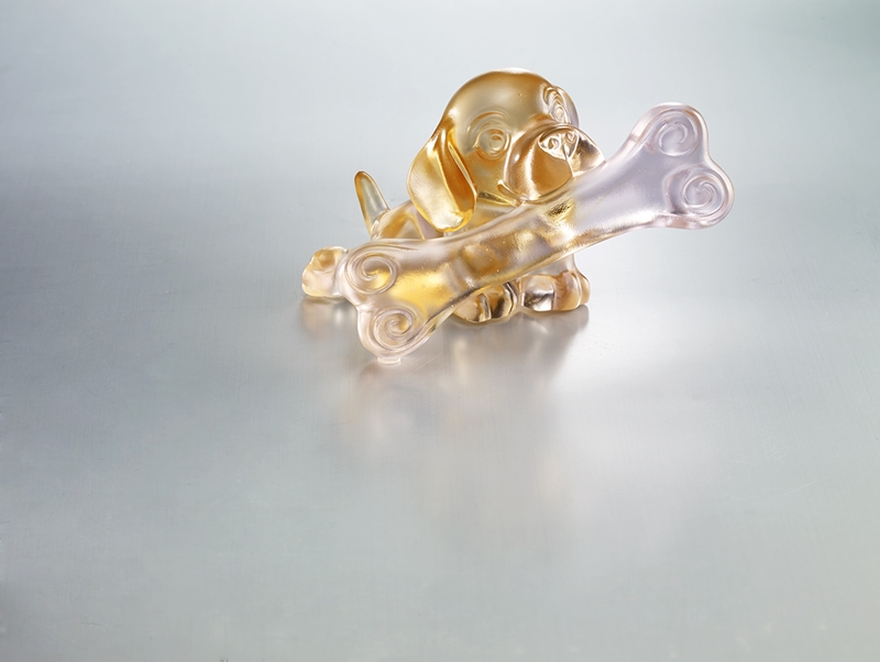 可愛的米格魯咬著比自己還大的骨頭，露出「如願以償」的滿足與喜悅。／如願以償