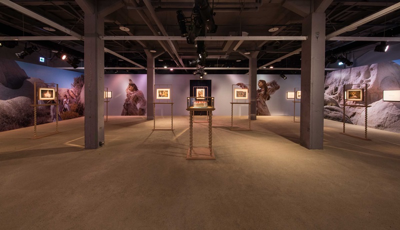 GUCCI 展出Gia Coppola攝影作品的「夢中夢Dream Within A Dream」展廳。