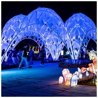 台灣燈會海底世界燈「珊瑚之心」作品　獲義大利國際設計...