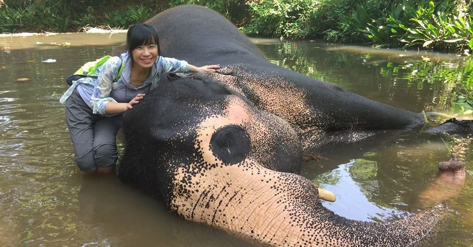 五間動物孤兒院 五個愛的故事