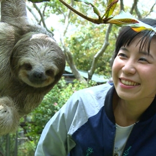 五間動物孤兒院 五個愛的故事