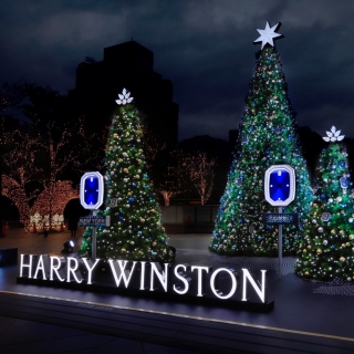 迎接聖誕佳節，Dior、Harry Winston、...