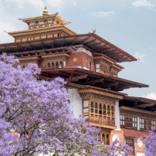 【#Travel】喜馬拉雅山的絕美曙光！不丹安縵喀拉...