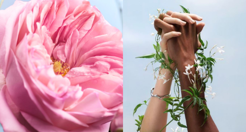 Dior「2030美麗永續傳承」計畫，擁抱未來繁花盛開的美麗心世界，把對地球的愛顯化為天堂人間！