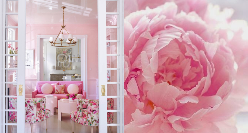 九月運勢加乘活用粉紅、桃紅色擴展心能量，結合新鮮花香打造空間好能量享受多感官幸福饗宴。