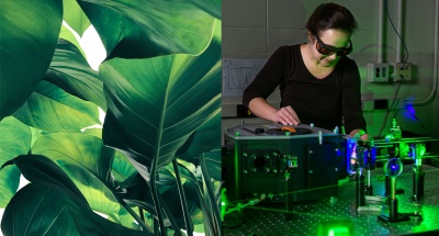【#Energy】我們可以從植物的光合作用獲取多少能量、收穫多少發電？