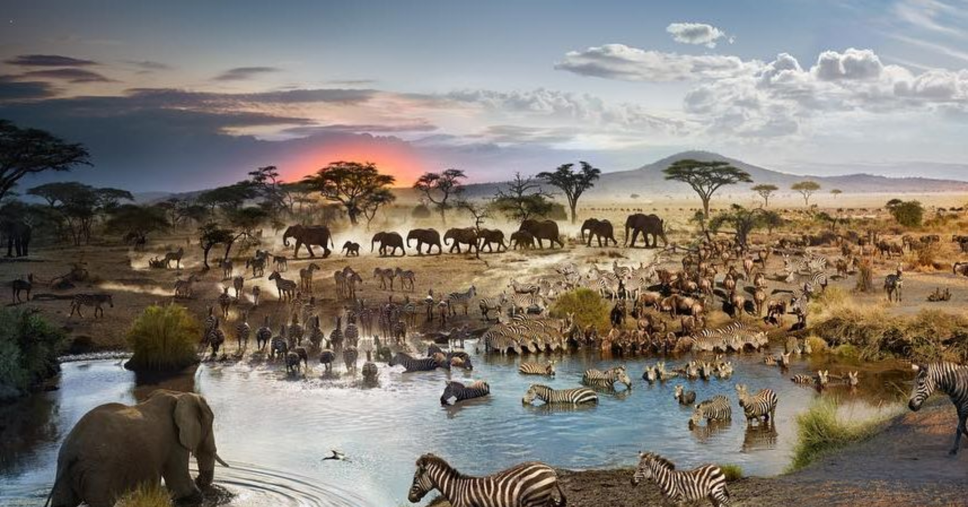【#Environment】遏止第6次生物大滅絕浩劫倒計時！COP15聯合國生物多樣性公約擬定草案，以保護土地海洋為首要目標