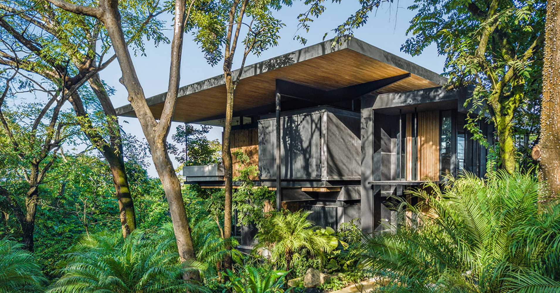 【#Good Design】和蓊鬱叢林共舞！隱蔽在哥斯大黎加林蔭裡的永續宅屋Raintree House是幽靜避世的綠殿堂