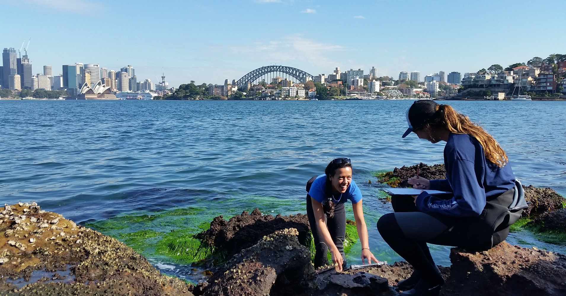 【#Environment】澳洲團隊Living Seawalls打造提供海洋生物的棲息地的海堤，保護生態系統繁衍、讓沿海環境免於破壞