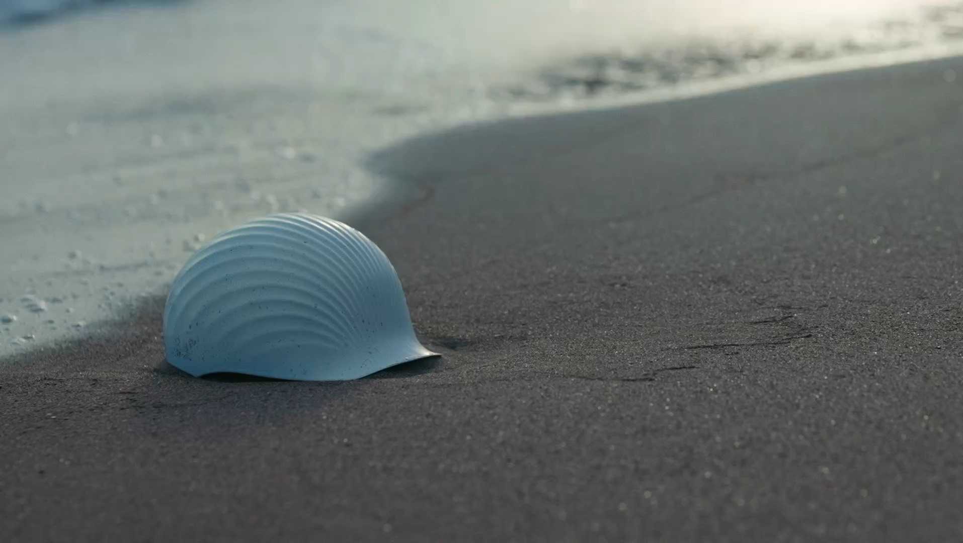 【#Energy】用廢棄扇貝、回收塑膠打造的再生安全帽Shellmet！精巧仿生設計守護漁民安全