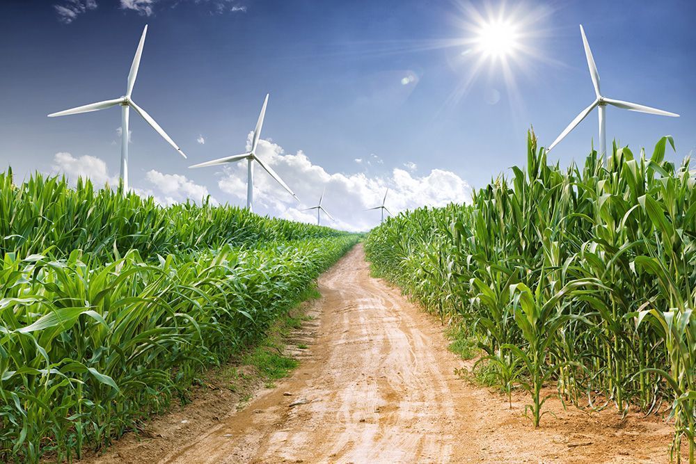 【#Environment】研究指出透過「這三項」環保措施的推動與投資有望助長全球邁向脫碳淨零理想！