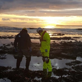 【#環保永續】以種植於蘇格蘭純淨海域的有機海藻製...