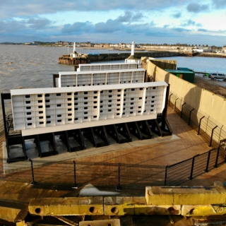 【#Environment】英格蘭三趾鷗旅館開放入住...