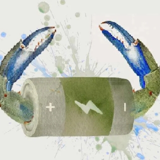 【#再生能源】用廢棄蟹殼製造可生物降解鋅電池！馬...