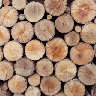 【#Energy】瑞典理工大學科學團隊以溼木材產生生...