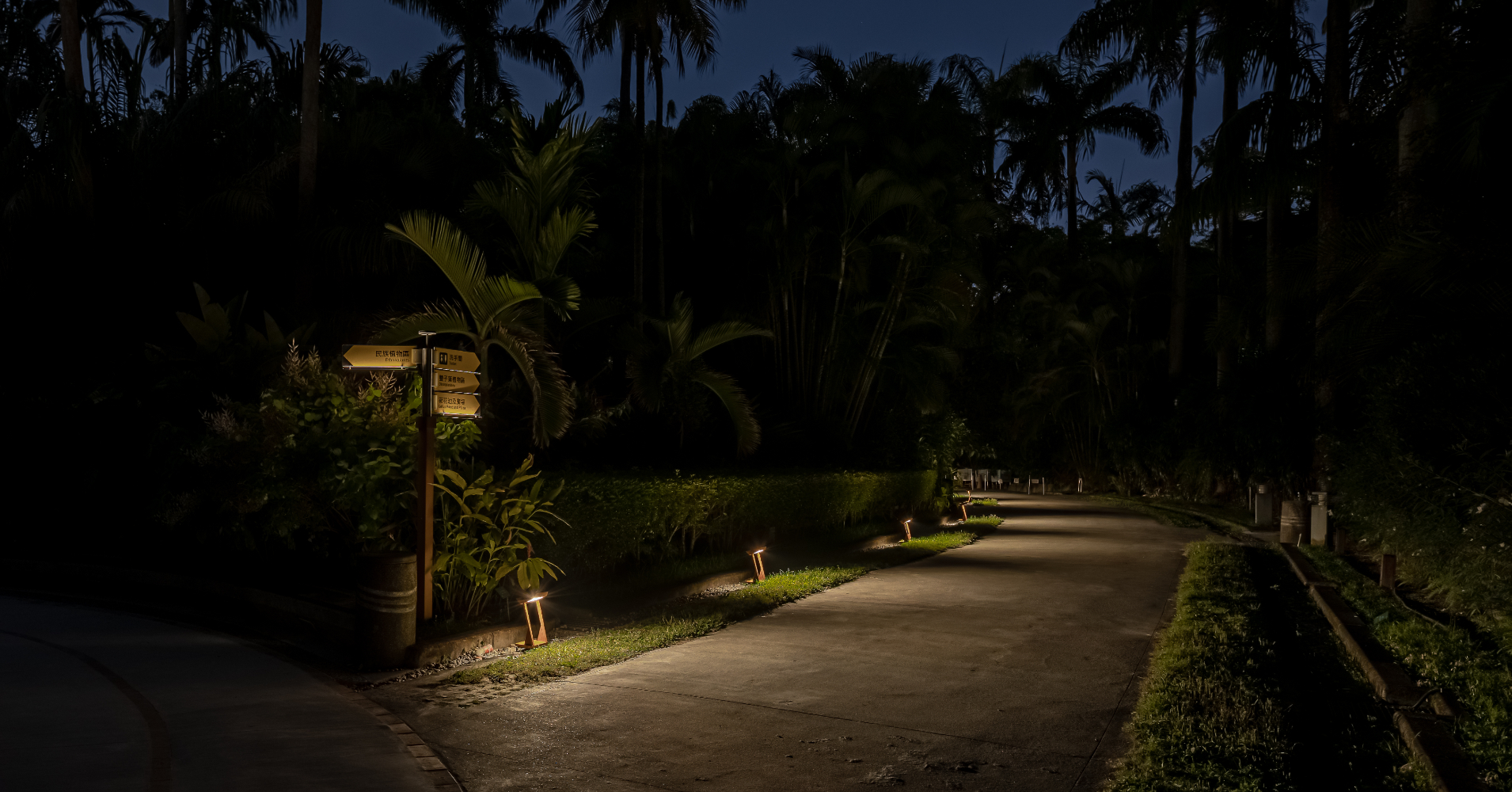 【#Environment】減光護生、重塑月光椰影美夜！台北植物園啟動植光計畫，改善步道光源與環境和諧共生、友善生態