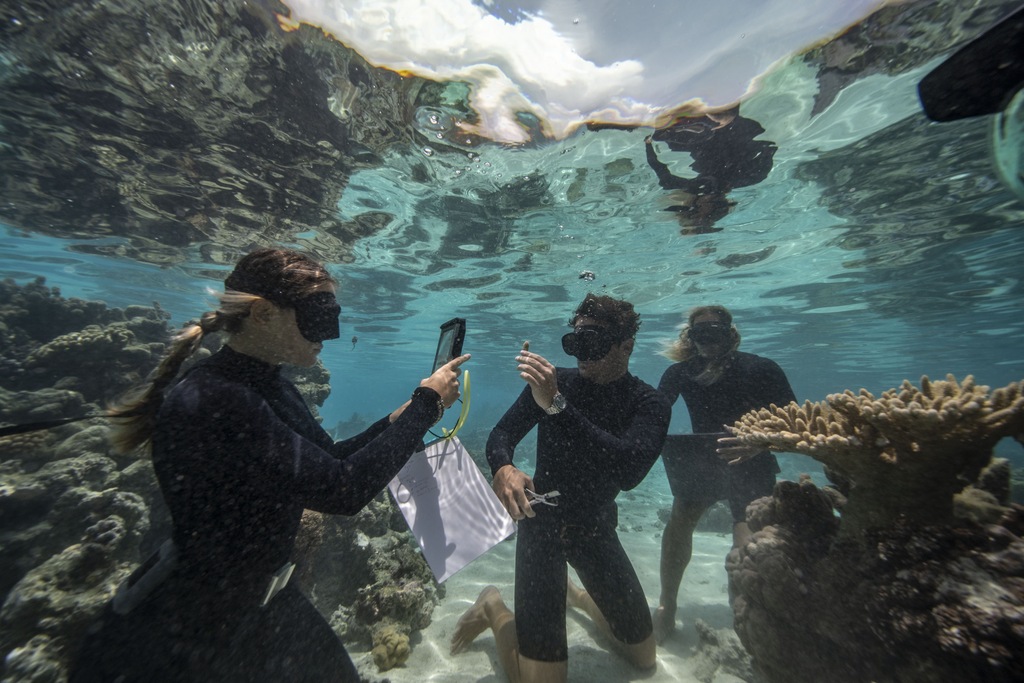 【#Environment】勞力士「保護地球．恒動不息」計劃協助玻里尼西亞「珊瑚園丁」攜手推行珊瑚復育，喚起地球公民對海洋生態的保育意識
