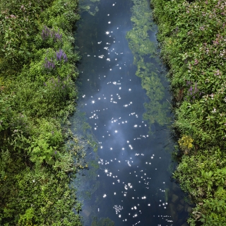 【#Environment】用攝影記錄珍稀白堊溪的澄...