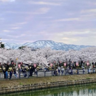 【#Travel】來一場賞櫻之旅，雅趣私藏景點讓你的三四月爛漫無比 （四）