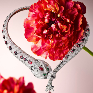 【#Jewelry】走進Cartier璀璨構築的珠寶...
