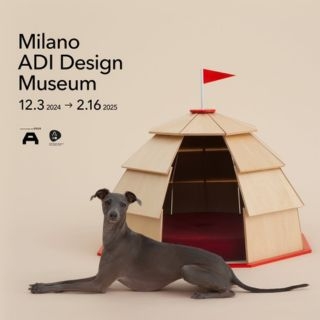 2024「Architecture for dogs...