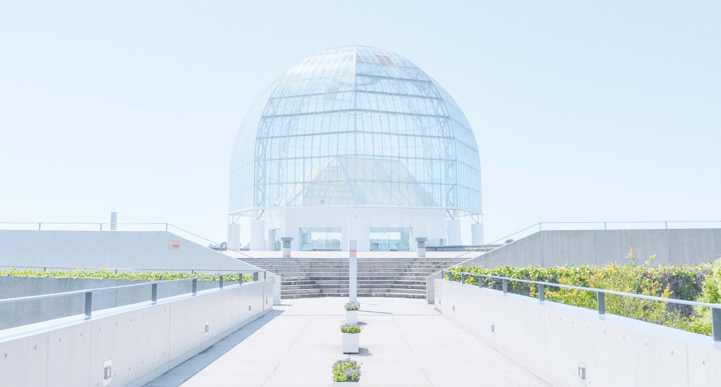 【#Architecture】日本建築大師系列報導一谷口吉生X葛西臨海水族館