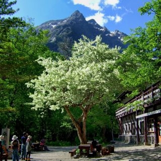 【#Travel】走訪日本靈氣最滿的秘境！202...