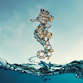 探祕海底世界，Tiffany & Co.《瑰海奇珍》高級珠寶，以虹彩斑斕之姿，徜...