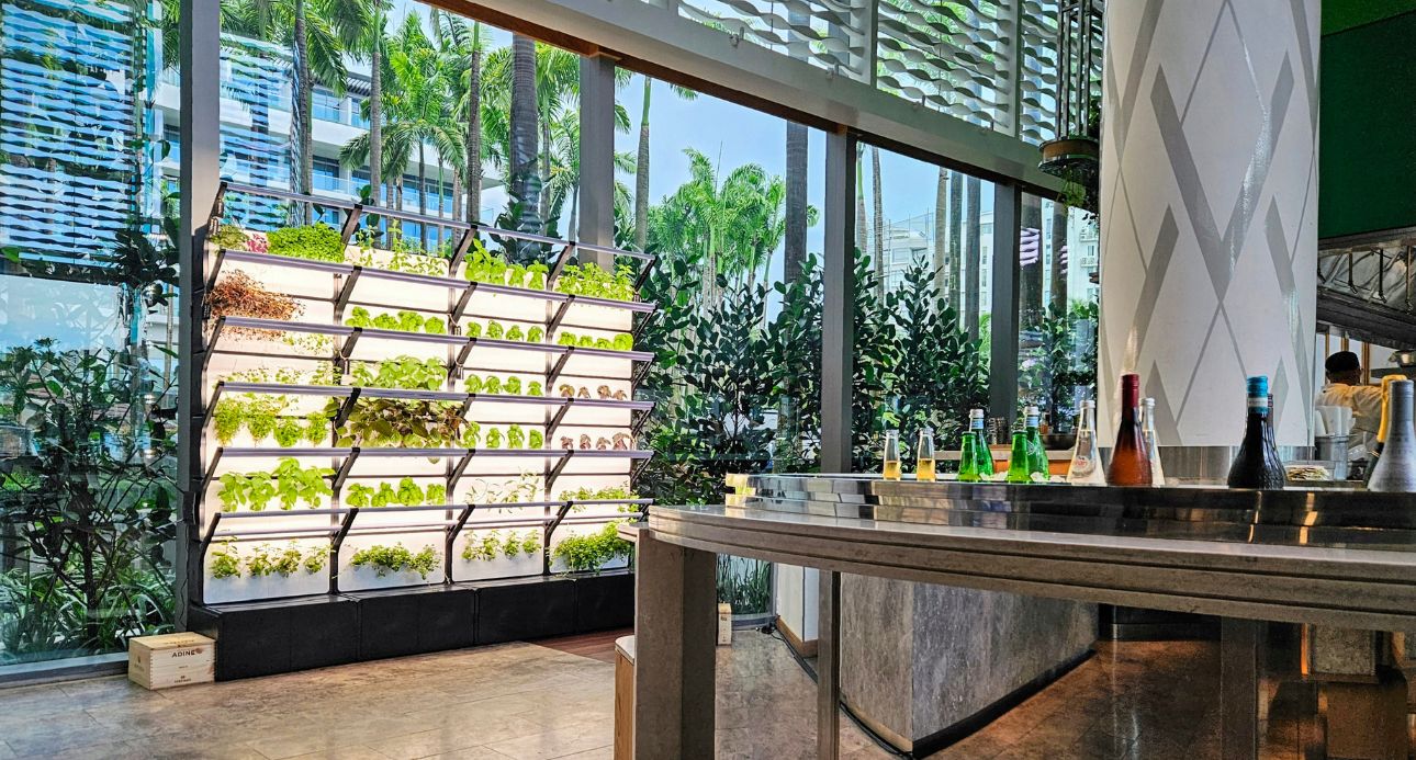 從能源到餐桌，全球高端酒店這樣落實永續理念，打造全新奢華體驗