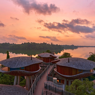新加坡最特別的「懸空度假村」，座落雨林生態、在自然野趣中享受極致放鬆，甚至開門就...