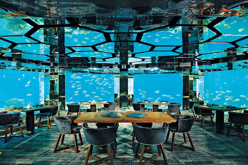 我也要住在海裡當美人魚！8間超美海底飯店