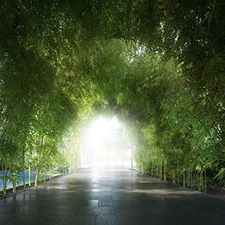 【#Architecture】都市水泥叢林中的新鮮綠意，探索雪梨最新熱帶度假綠色豪宅！