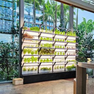 從能源到餐桌，全球高端酒店這樣落實永續理念，打造全新奢華體驗